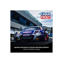 Mootoriõli LIQUI MOLY SYNTHOIL RACE TECH GT1 10W60 5L - 6