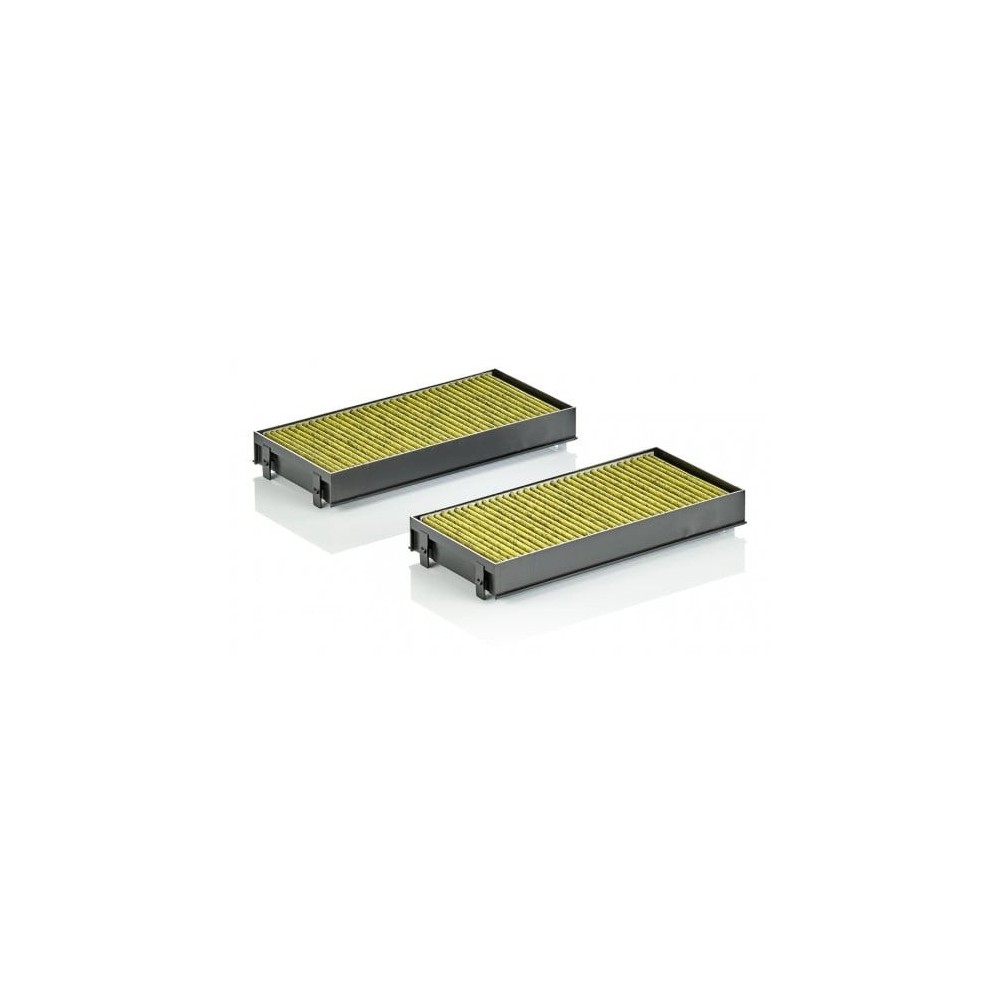 Salongifilter MANN-FILTER FP 2941-2