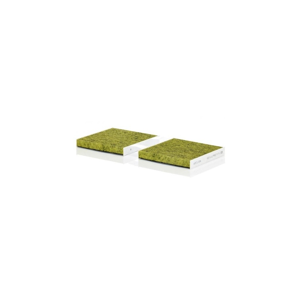 Salongifilter MANN-FILTER FP 19 004