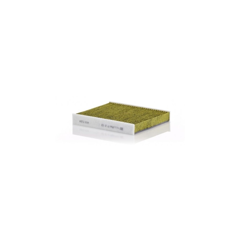 Salongifilter MANN-FILTER FP 22 032