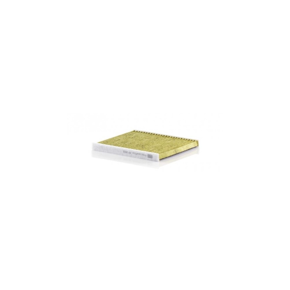 Salongifilter MANN-FILTER FP 2026