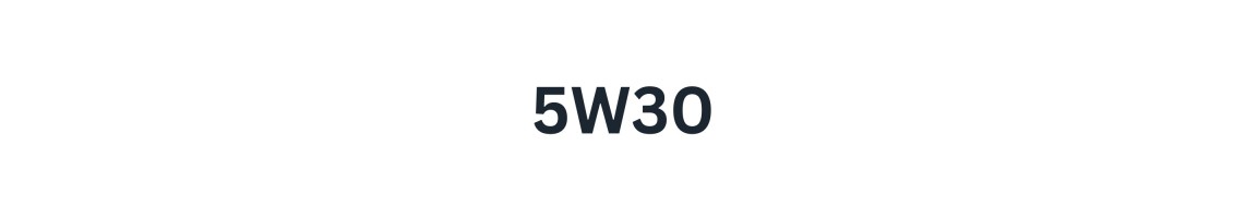 5W-30 mootoriõli veebist | Lai valik ja kiire tarne